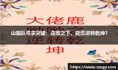55世纪官网