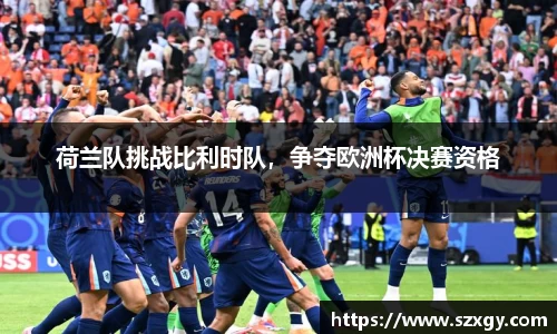 荷兰队挑战比利时队，争夺欧洲杯决赛资格