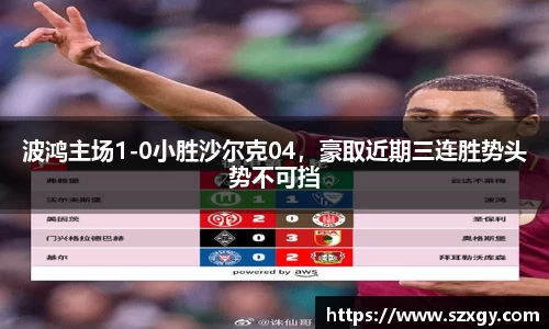 波鸿主场1-0小胜沙尔克04，豪取近期三连胜势头势不可挡