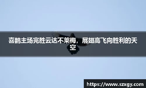喜鹊主场完胜云达不莱梅，展翅高飞向胜利的天空